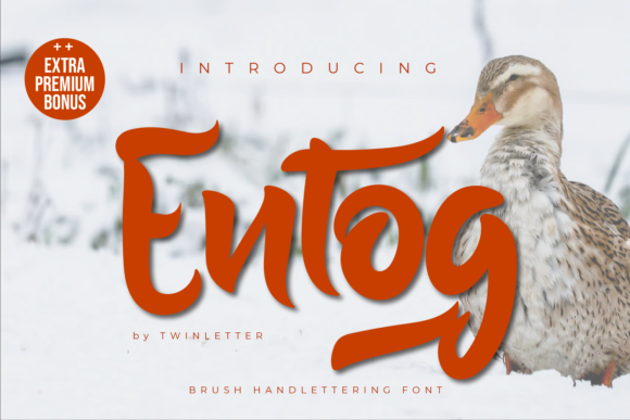 Entog: A Bold Handwritten Font for Crafters