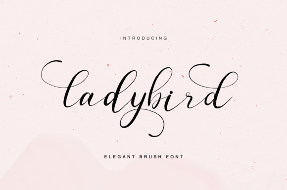 Ladybird: A Handwritten Font for Modern Web Design