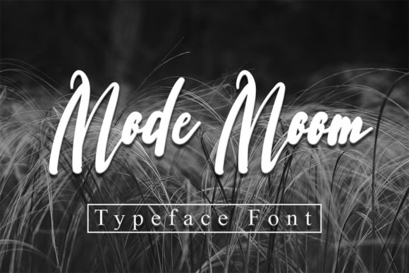 Mode Moon: A Handwritten Font for Modern Web Design